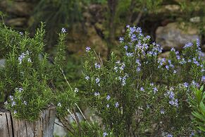 Places4stay Villa Figuera