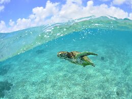 Allamanda Imgya Coral Village