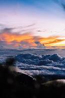 Bambuda Castle - Hostel