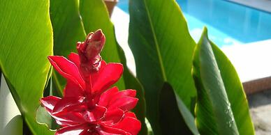 Pousada Manga Rosa