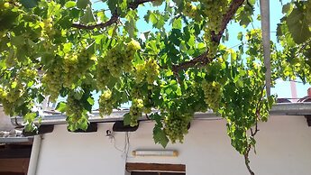 Hostal Tierra de Vinos