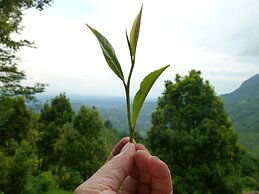 Kurulu Estate