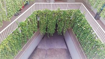 Legreen Suite Penjernihan