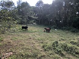 Krabi Lighthouse At Aonang