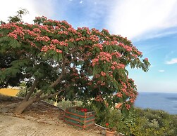 Pyrgos Ikaria Traditional Village