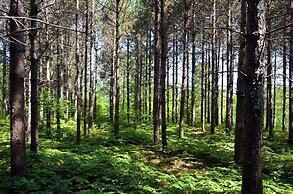 Still Point Lodge & Cottages