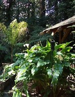 Daisy's Guest House