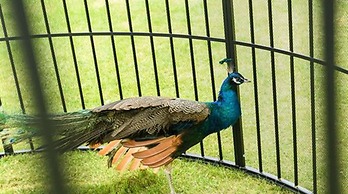 The Anandi Hotel and Spa Shanghai