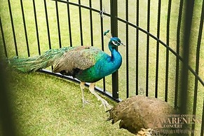 The Anandi Hotel and Spa Shanghai