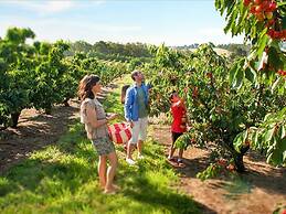 Lucy's Cottage Healesville