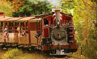 Lucy's Cottage Healesville