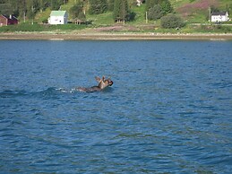 Furoy Hotel Apartments and Boating