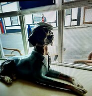 O'Sheas Hotel Tramore