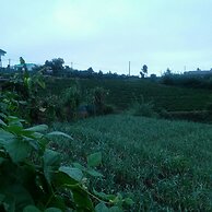 The Raspberry Cottage