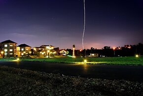 Jeju Parkland