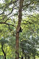 Retiro do Bosque Country House