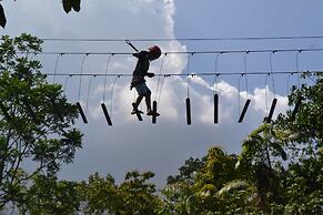 Parque Dos Igarapés