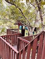 Cirandeira Amazon World EcoResort