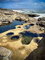 Handsome Dan's Port Renfrew