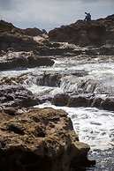 Handsome Dan's Port Renfrew