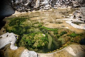 Handsome Dan's Port Renfrew