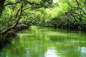 M Garden Business Hotel