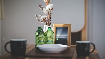 Red Windmill Pension