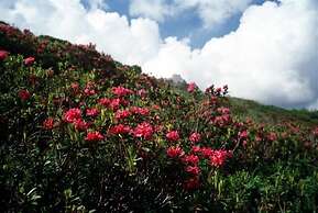 Gästehaus Meusburger