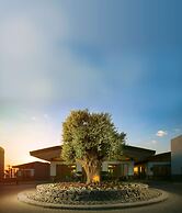 The Setai Sea of Galilee