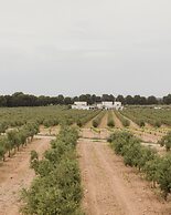 Finca Luz de Alba