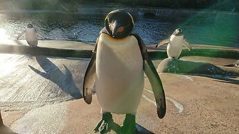 Violet Bank Apartment New Town