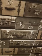 HOSTELARIASP BOUTIQUE