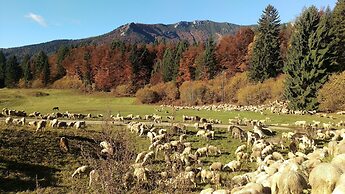 Casa Camilla Holiday