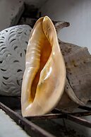 Boracay Ocean Bay Hotel