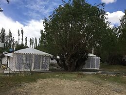 Nubra Summer Camp