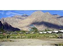 Nubra Summer Camp