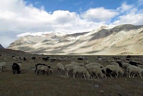 Mulkila Adventures - Campsite