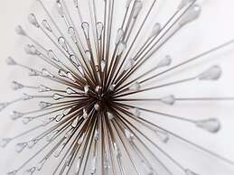 Shaftesbury Apartments