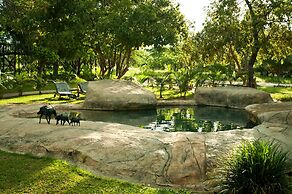 Pezulu Tree House Lodge