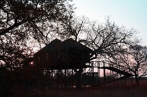 Pezulu Tree House Lodge