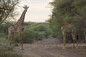 Thabaledi Game Lodge