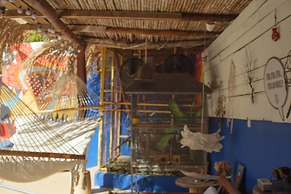 Apartamentos Massai