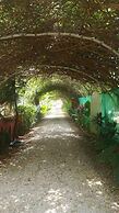 Apartamentos Massai