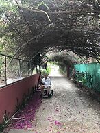 Apartamentos Massai