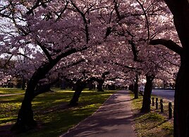 Kaiapoi on Williams Motel