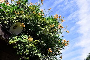 Peking International Youth Hostel