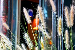 Peking International Youth Hostel