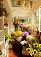 Peking International Youth Hostel