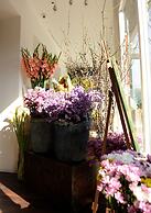 Peking International Youth Hostel