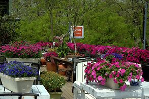 Peking International Youth Hostel